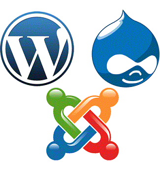 Content Management Systems (CMS)