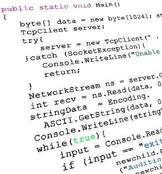 Custom Script Development